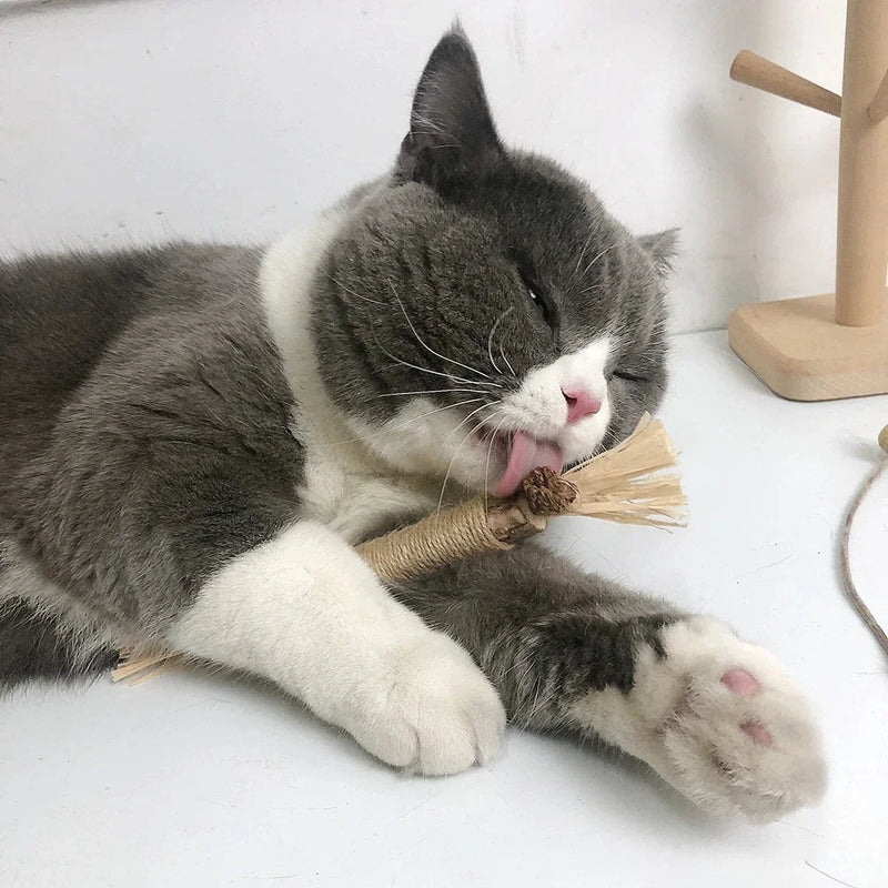Gravetinho de Matatabi Para Gatos | Stick Artesanal |